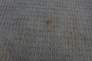 Carpet-2